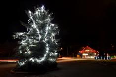 Rozsvícení vánočního stromku dne 1.12. 2019